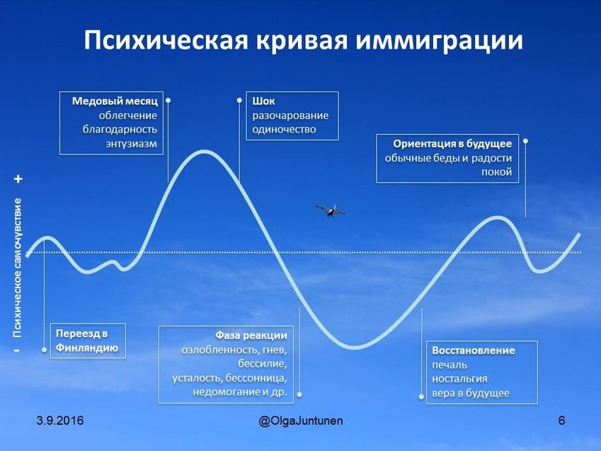 Схема протекания культурного шока - 97 фото