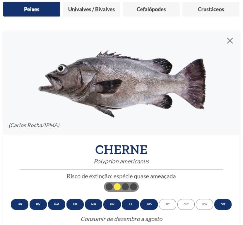 Изображение: пример описания из календаря DecoProTeste.