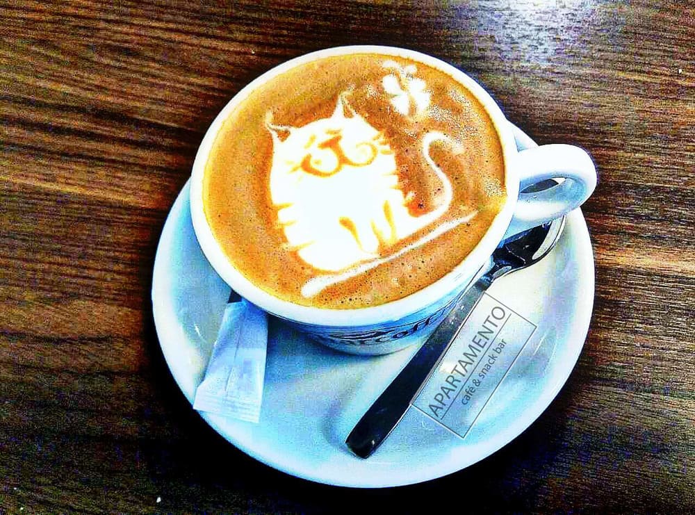 Фірмова кава з котиком від Apartamento