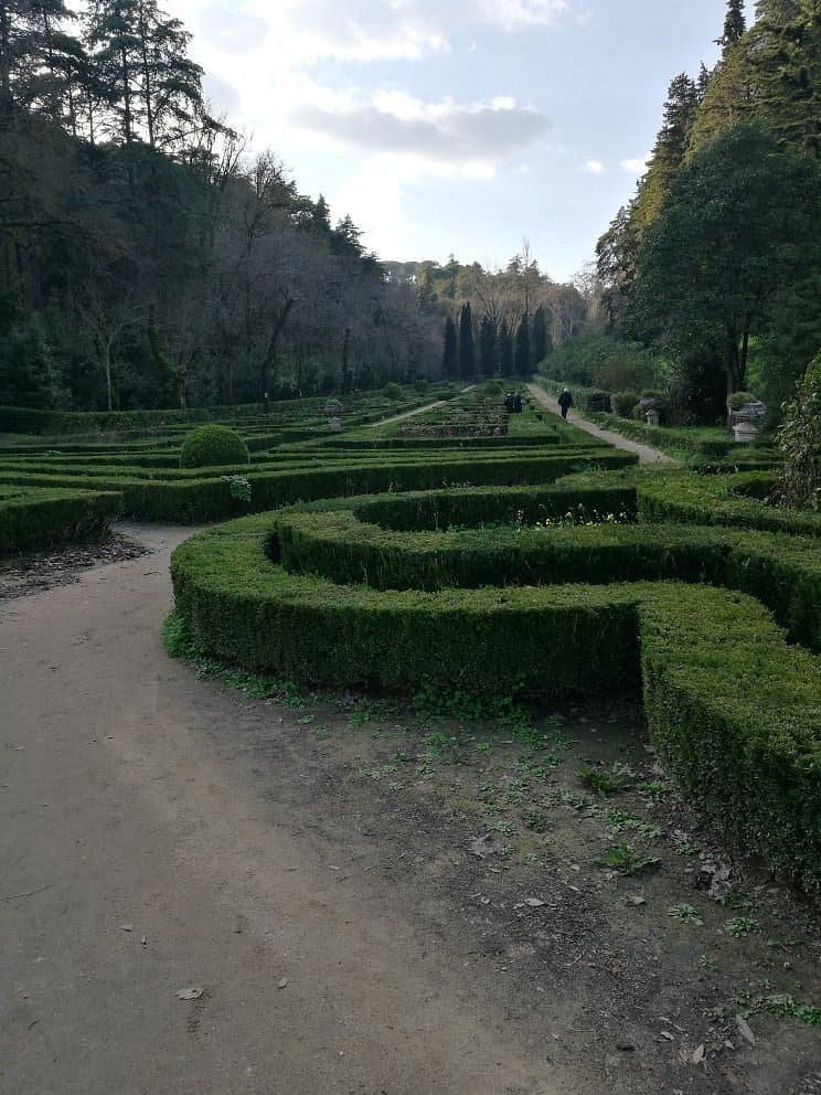 Рисунок 6 - Mata Nacional dos Sete Montes