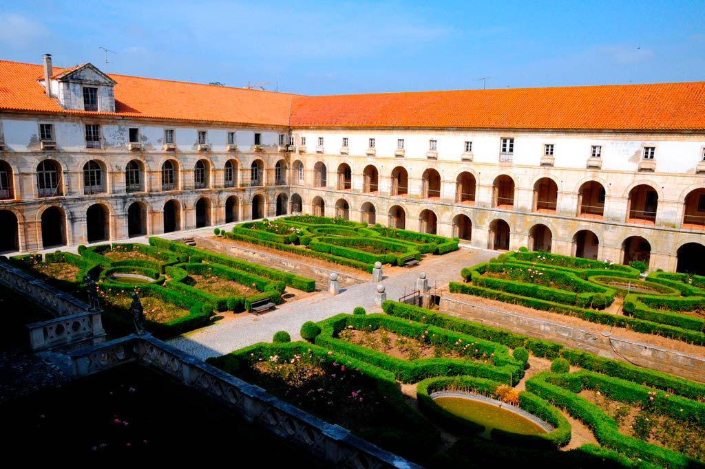 Portfolio Image